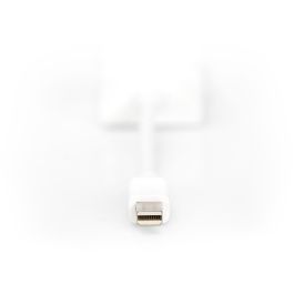 Adaptador DisplayPort a VGA Digitus by Assmann DB-340407-001-W Blanco Negro 15 cm