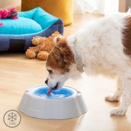 Bebedero Refrescante para Mascotas Freshty InnovaGoods Bebedero Refrescante para Mascotas Freshty InnovaGoods