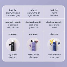 Champú Milk Shake 1 L