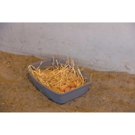 Kerbl Caja Nido para Gallinas 52 x 39 x 39 cm KER4018653391839