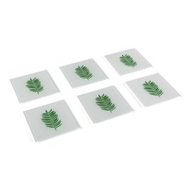 Posavasos Versa Hojas (6 Piezas) (11 x 11 x 4 cm) Precio: 4.68999993. SKU: S3409383