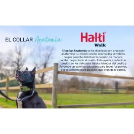 Collar para Perro Company of Animals Gris