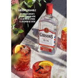 Ginebra Gibson 70cl