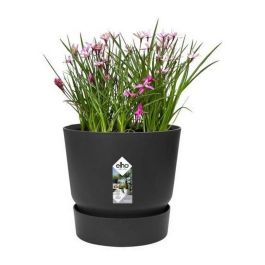 Elho Greenville 30 Maceta redonda Exterior Ø 29.5xH 27.8 cm Negro Living Plástico Reciclado, Antihielo, Depósito Agua