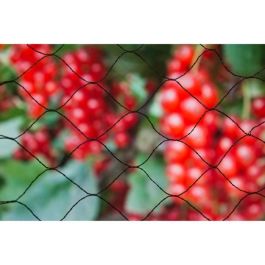 Primo 5x2m redes anti-pájaros en tejido de polietileno tejido 12gr/m² negro Precio: 19.49999942. SKU: B1BJZ2QGRE